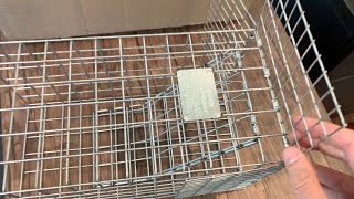 Tomahawk Excluder Way Door Home Pest Control Trap Review [upl. by Timmy388]