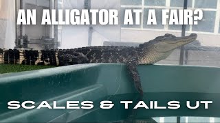 An Alligator at a Fair [upl. by Sherard41]