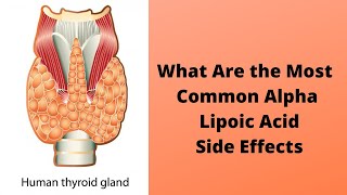 What Are the Most Common Alpha Lipoic Acid Side Effects [upl. by Cordova]