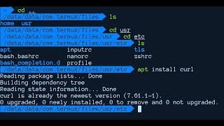 How to Customize Termux Make Termux terminal look Awesome  ANCII Color Font Style [upl. by Danica]