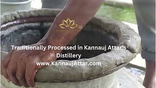 Kannauj Attar  Indias First Attar Making Company KannaujAttarcom [upl. by Ialda]