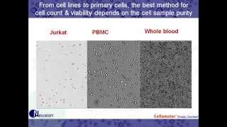 Performing viability assays on Primary Cells using Trypan Blue and AOPI [upl. by Anaeli]