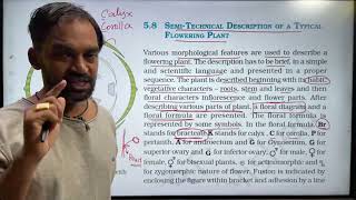 Morphology of Flowering Plants  Part 7  TB 2024 [upl. by Nerrad]