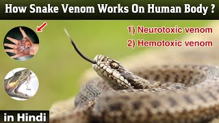 How to snake venom works on human body  venom injection systems  in Hindi [upl. by Buskus751]