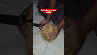 belah duren belah duren durian [upl. by Lua685]