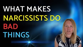 What Makes Narcissists Do Bad Things [upl. by Annid303]