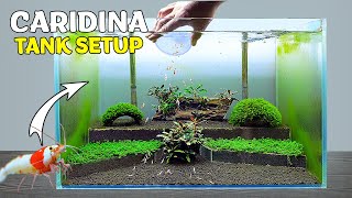 Shrimp Tank Setup for Caridina Crystal Red Shrimp Step By Step 12 Weeks Cycle [upl. by Osher915]