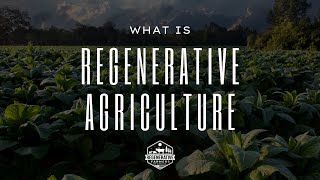 Regenerative Agriculture  Why it matters [upl. by Stark]