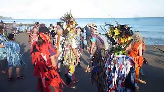 Herbaceous Border Morris Sidmouth Folk Week Seafront 101817 [upl. by Seaton]