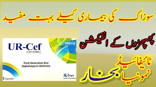 URCef400mg Capsule Uses in Urdu  Cefixime Benefits medicine Sideeffects [upl. by Hakym]