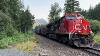 The Behemoth CN 772 220 Car Empty Coal Train  Spuzzum BC Canada 20JUL24 ET44AC 3131 Leading [upl. by Goober472]