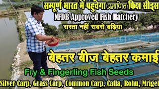 सम्पूर्ण भारत में मिलेगा प्रमाणित फिश हैचरी की मछली सीड्स Fish Seed Supplier Kolkata FishFarming [upl. by Theola751]