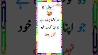 GK Question  GK Quiz  Sawal Jawab  Gk In Urdu  Gk  funny generalknowledge gkquestion [upl. by Gavrah]