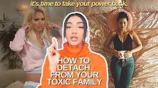 how to deal with your toxic family  understanding signs regaining power new mindset  solutions [upl. by Youngran493]