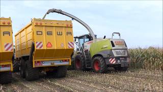 Wellens mais hakselen 2017 1  Claas Jaguar 960 [upl. by Nnaeel]