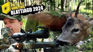 Blattjagd 2024 I Sie springen wieder I Zwei Böcke liegen [upl. by Sallyann388]