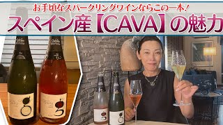 スペイン産スパークリングワイン【CAVA】の魅力 [upl. by Lebasy]