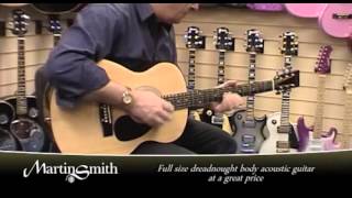 Martin Smith W100 Guitar Series [upl. by Nesyla]