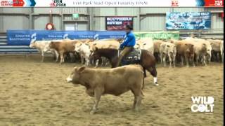 DRIVING MISS DREAMER Todd Graham WINNER Open Futurity 2014 NCHA Victorian Futurity [upl. by Ahsetan733]