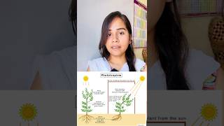 Phototropism  hydrotropism  geotropism  thigmotropism  chemotropism shorts growth youtube [upl. by Ruberta801]