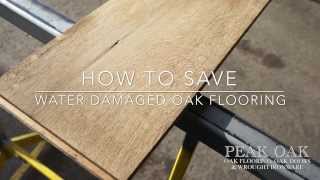 How To Save Water Damaged Oak Flooring [upl. by Evvy]