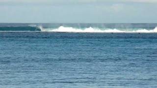 Rarotonga Surf Breaking on Coral Reef [upl. by Winchell]