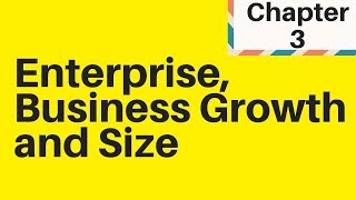 13 Enterprise Business Growth and Size  IGCSE Business Studies [upl. by Oigaib174]