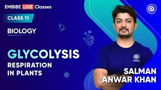 Glycolysis  Respiration in Plants  Biology  Class 11  Salman Anwar Khan [upl. by Severin]