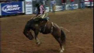 Saddle Bronc Riding  HRS Rodeo [upl. by Nauqes]