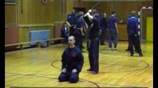 Bujinkan Croatia TV Transmeet [upl. by Victor]