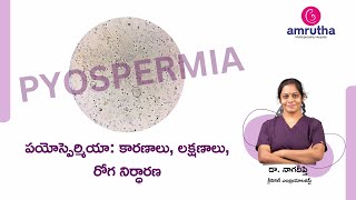 what is Pyospermia  Causes Symptoms amp Diagnosis [upl. by Absa64]