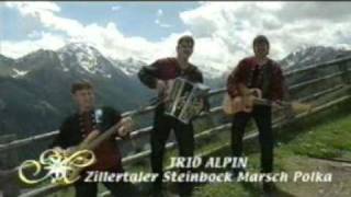 Trio Alpin  Zillertaler Steinbock Marsch Polka [upl. by Ecadnac]