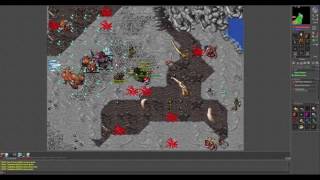 Tibia Oramond Major Minotaurs800kh exp duo [upl. by Aliam173]