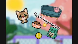 Evcil hayvan sahiplendim🐱tocaboca tutsunartık tocalifeworld [upl. by Nevram413]