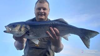 Bass fishing Ireland [upl. by Erotavlas]