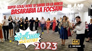 NOU 2023 Formatia Basarabia🔴 Colaj Hore si Sarbe Ca La Nunta ❗❗❗ [upl. by Ekihc]