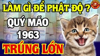 CẢNH BÁO QUÝ MÃO 1963 Làm gì để được phật độ Nam Tào Che Chở Đổi Đời Giàu Sang Sung Sướng [upl. by Ainoda939]