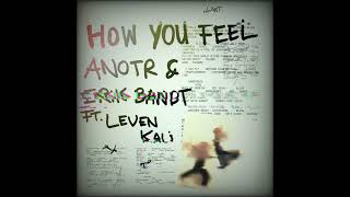 ANOTR amp Leven Kali amp Erik Bandt – How You Feel Original Mix [upl. by Gun]