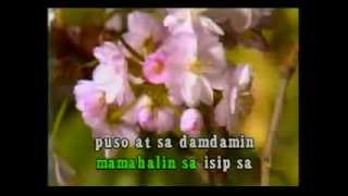 videoke opm  hulog ng langit [upl. by Alyak228]