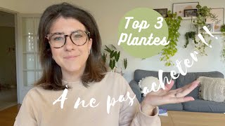 Nachetez pas ces plantes  Plantes gratuites  mon top 3 [upl. by Mozza]