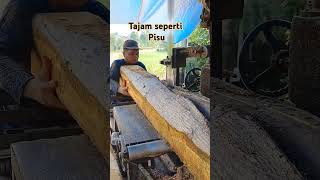 TAJAM‼️merajang kayu Jabon [upl. by Haleelahk]