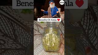 Best Way To Eat Amla Suggested By Sadhguru ♥️ shorts [upl. by Skricki]