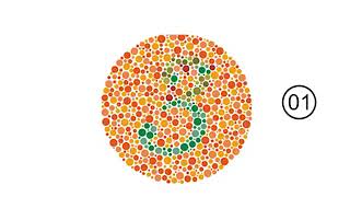 Color Blindness Test [upl. by Reltuc]