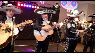 Mexican Mariachi Band For Hire  Mariachi Kings  Promo Video [upl. by Isdnil]