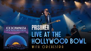 Joe Bonamassa  quotPrisonerquot  Live At The Hollywood Bowl With Orchestra [upl. by Milano472]