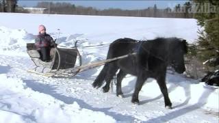 A Traditional Finnish Folk Song [upl. by Marlo]