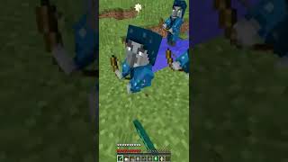 Secret Mob In Minecraft illusioner [upl. by Hadihahs]