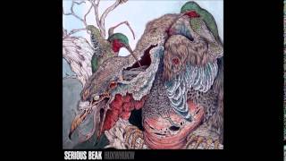 Serious Beak  Huxwhukw Full Album [upl. by Falzetta]