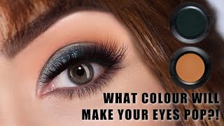 Eye Makeup Tutorial for Beginner and Mature Skin  How To Apply Eyeshadow for YOUR EYE COLOUR [upl. by Idet]