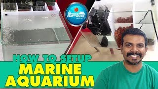 How To  Setup Marine Aquarium  Salt Water Fish Tank [upl. by Teeter]